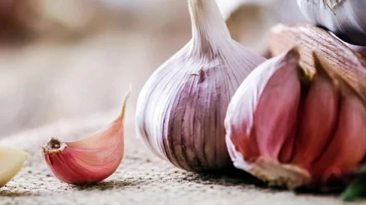 Источник: shutterstock.com