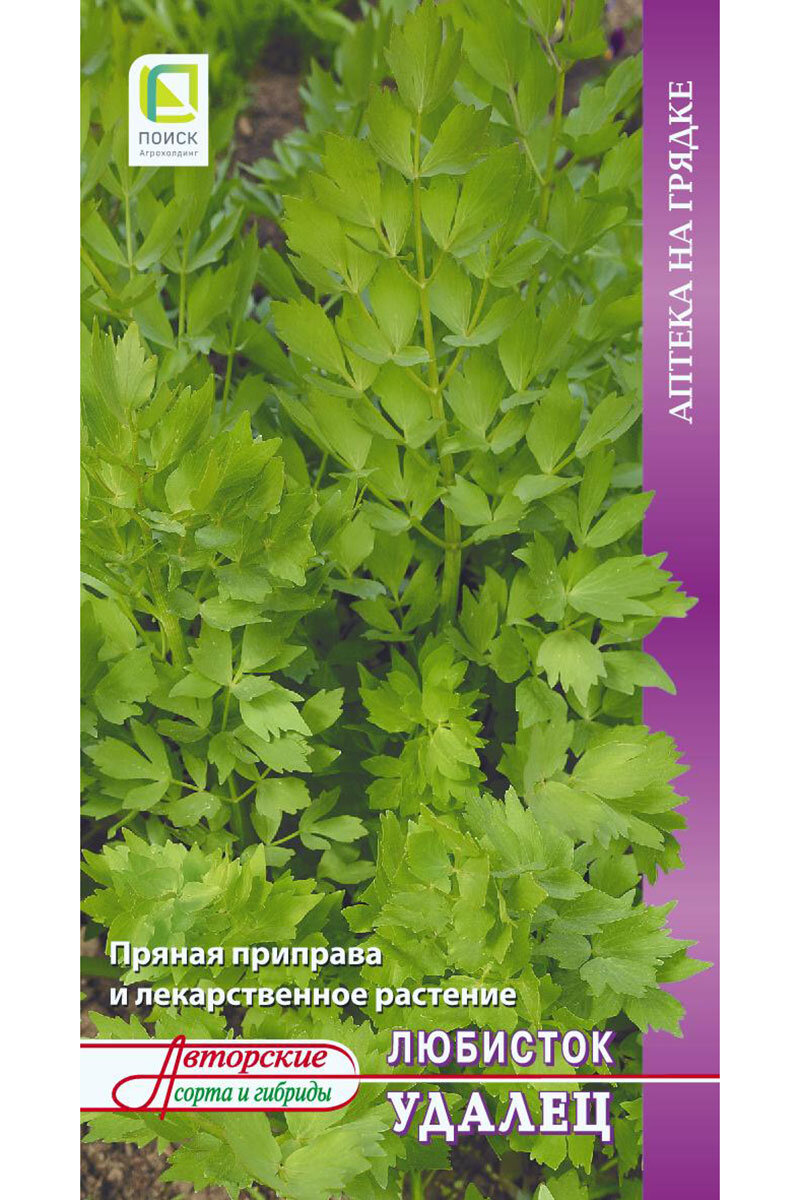 Аптека на грядке. В гармонии с природой! | Агрофирма ПОИСК | Дзен