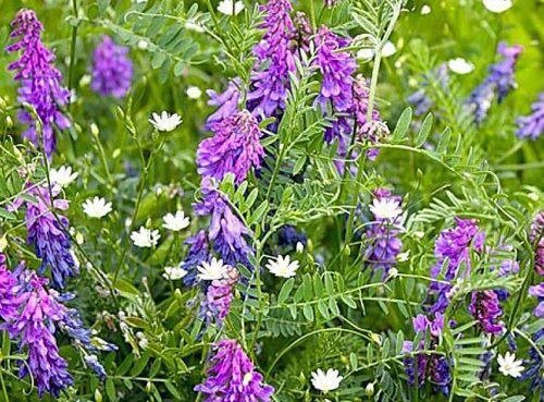 Вам интересно? Если да, то продолжение следует!