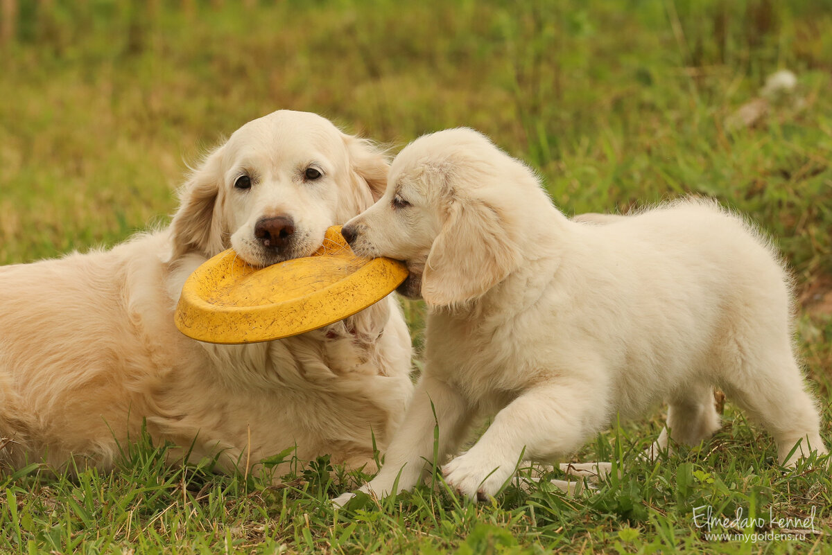На фото Эмили с внучкой.