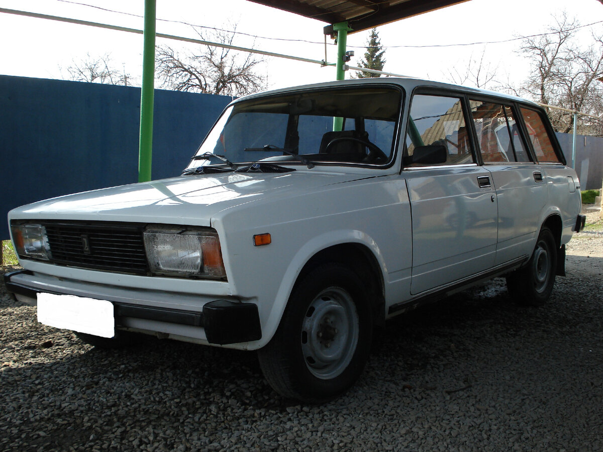 вот она наша красавица-трудяжка. фото автора