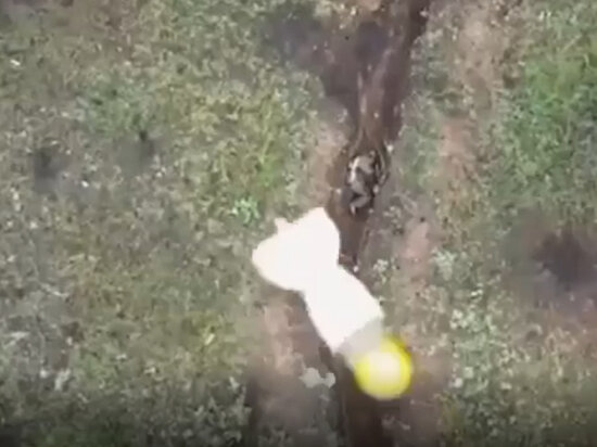   Кадр из видео