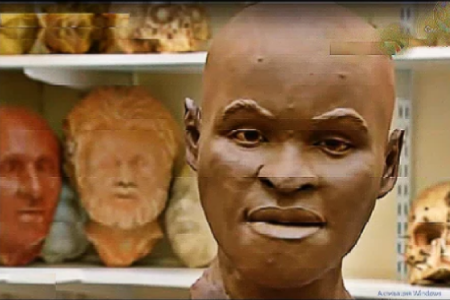 Восстановленный облик   