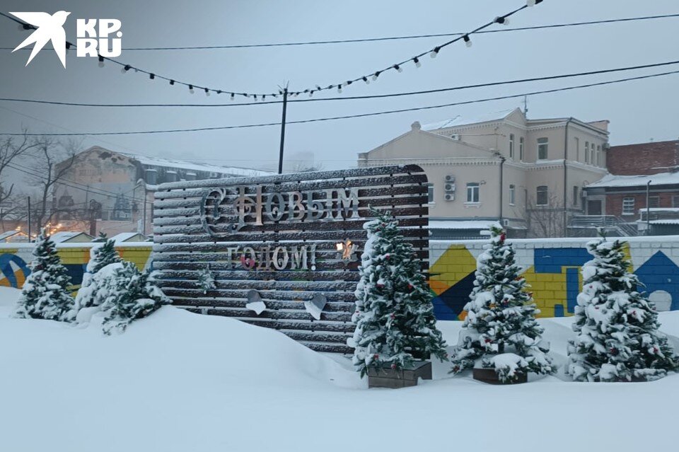     Снежная стихия продолжает бушевать в Приморском крае. Дарья НАУМЕЦ