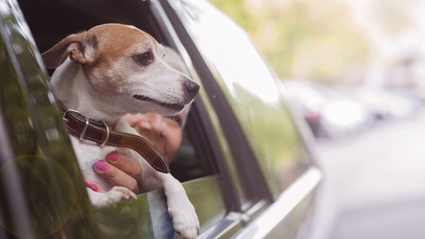   Gettyimages.ru Vesnaandjic