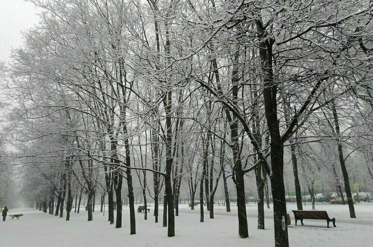   Мобильный репортер / АГН Москва