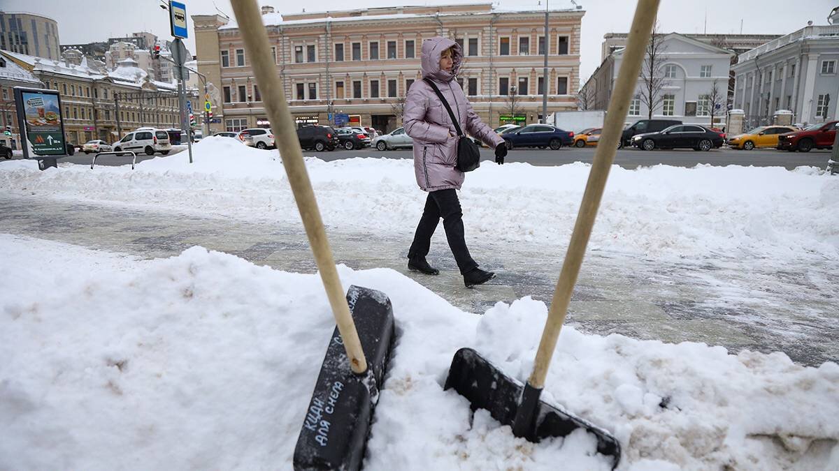    Фото: Артур Новосильцев / АГН Москва