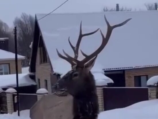     Скриншот соцсети