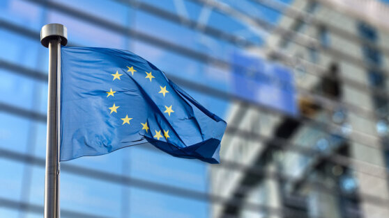    Депутат ЕП объяснил сложность подготовки новых антироссийских санкций Анна Белая