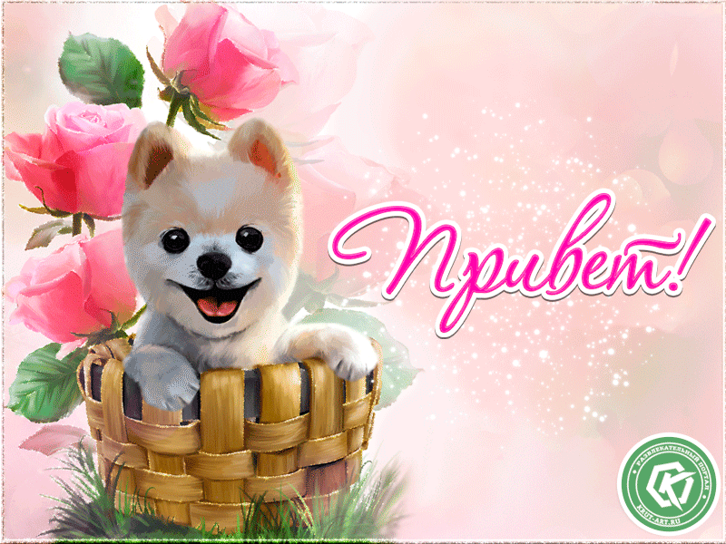 Милое приветствие со щеночком, скажите другу привет оригинальной анимацией