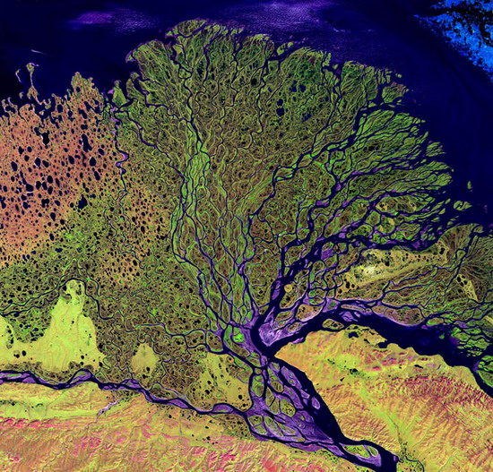 Дельта реки Лена из космоса для наглядности