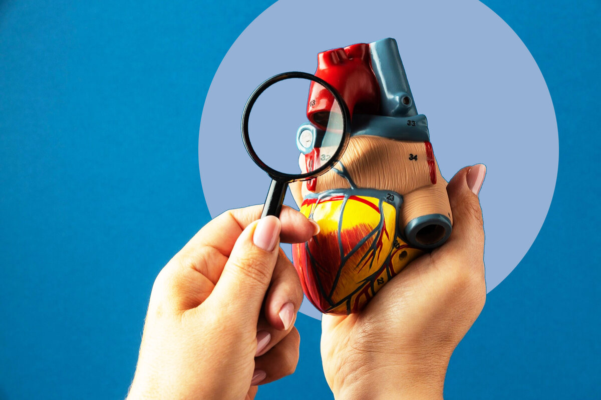     Это сильно портит здоровье сердца: ученые назвали неожиданные факторы риска развития гипертонии