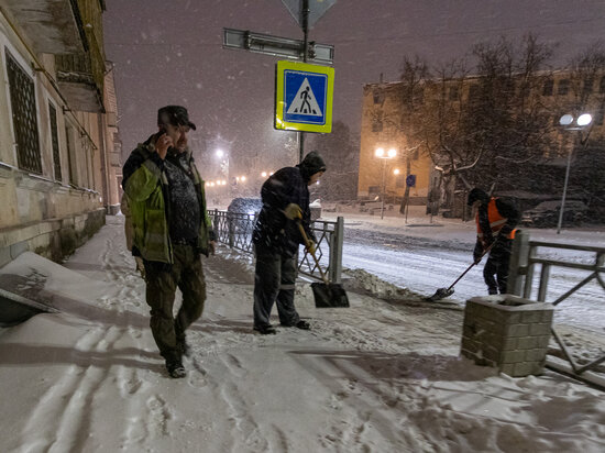     Снег пойдёт в Псковской области 16 января / Вадим Боченков