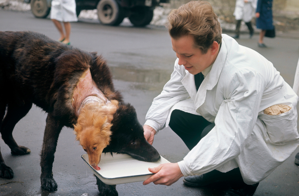 Эксперимент и его результаты