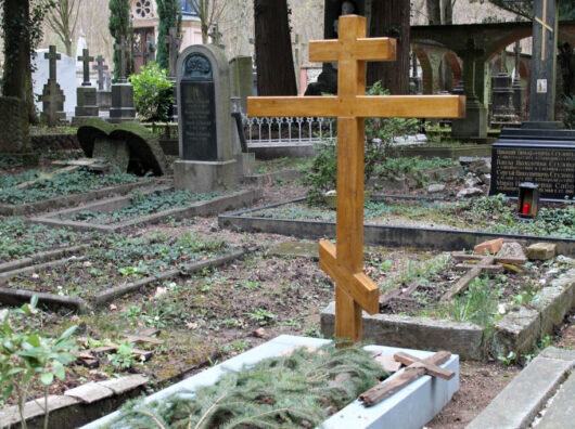    // фото: rsute.ru