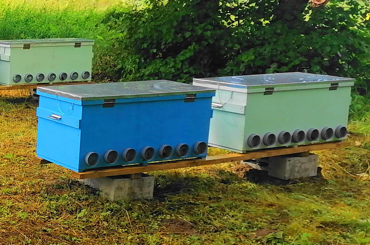 Улей Бюджет с металлическими ручками, цепочкой, защёлками и прочими дополнениями