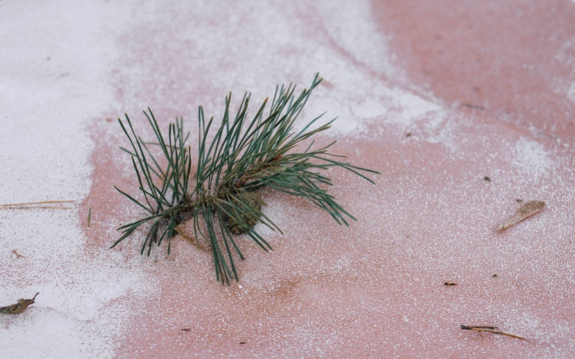    Снег в городке Строителей приобрел красный оттенок. Фото: Маша Бакланова