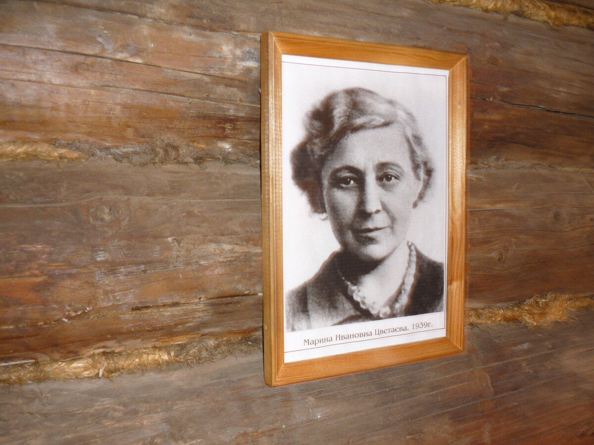 В музее    Фото автора канала  Птичка Степная