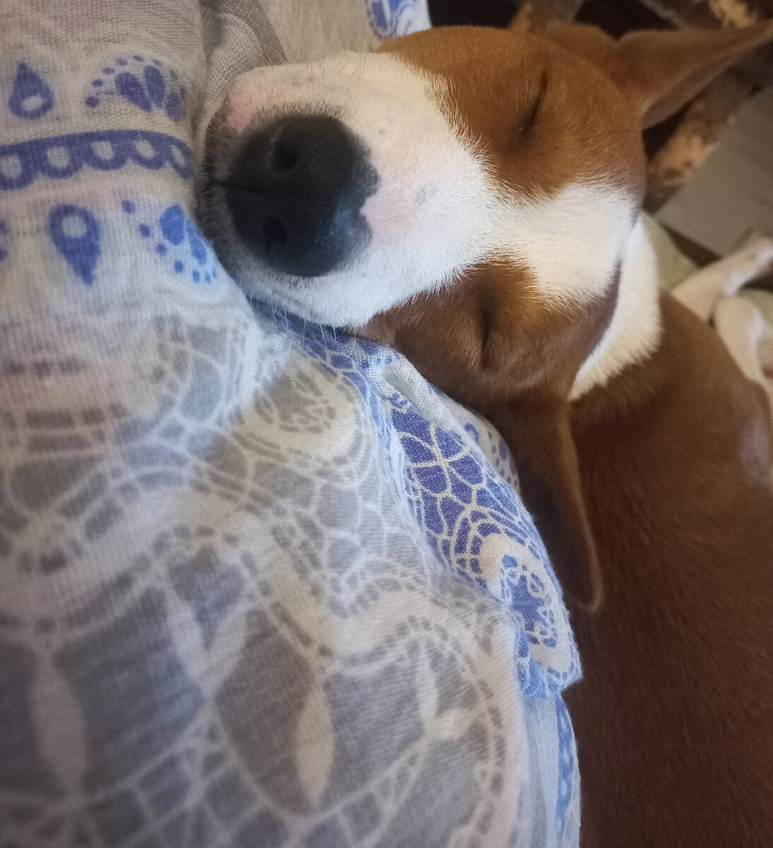 Я устал... Фотография автора 