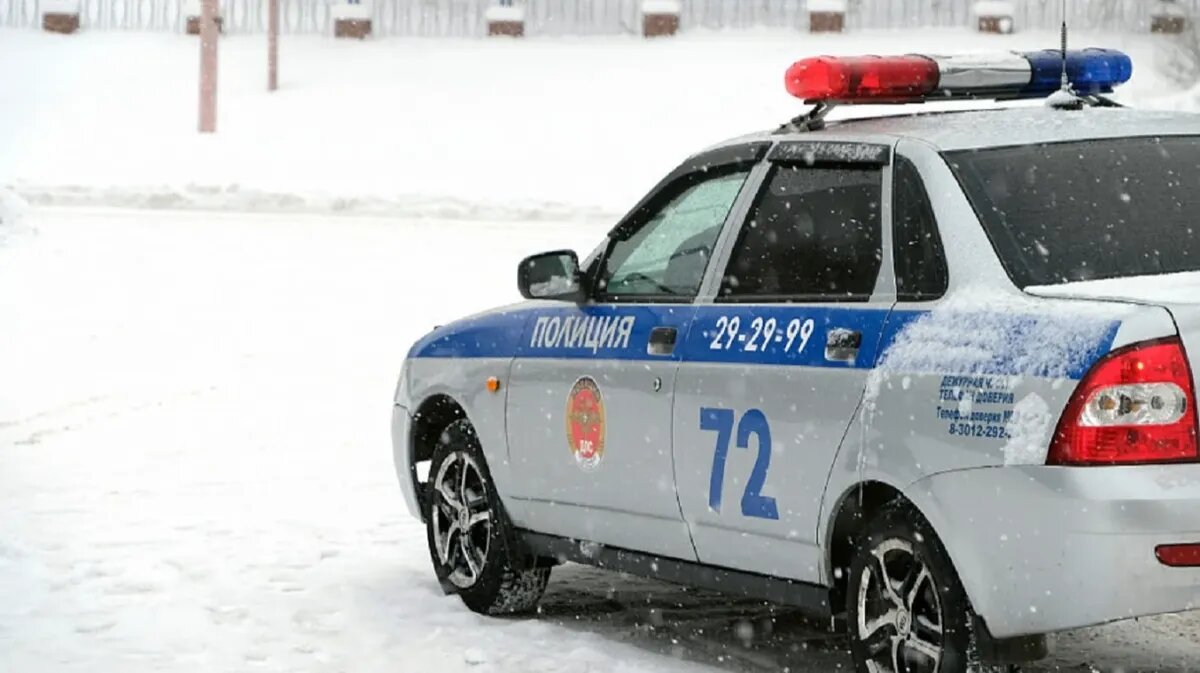 Фото: УМВД РФ по Новосибирской области