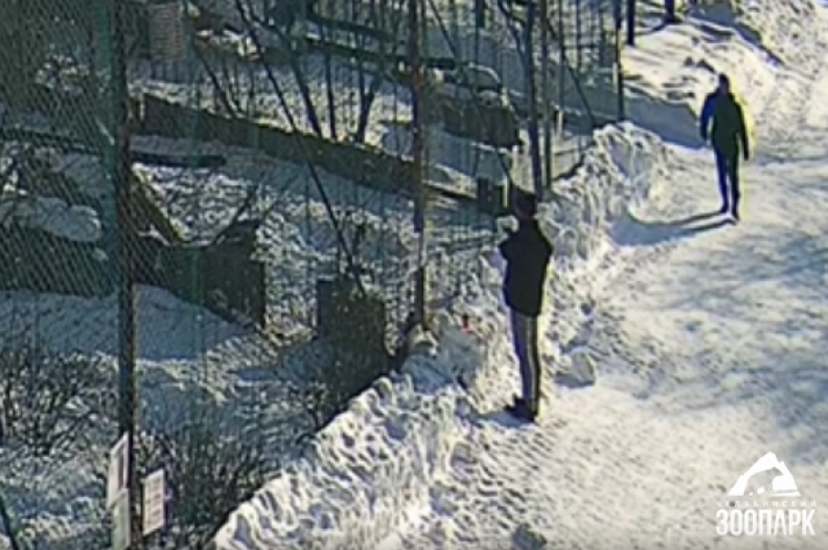    Росгвардию вызвали в челябинский зоопарк из-за посетителя с суповым набором