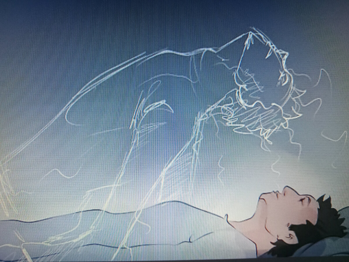 Фото автора сфотал монитор