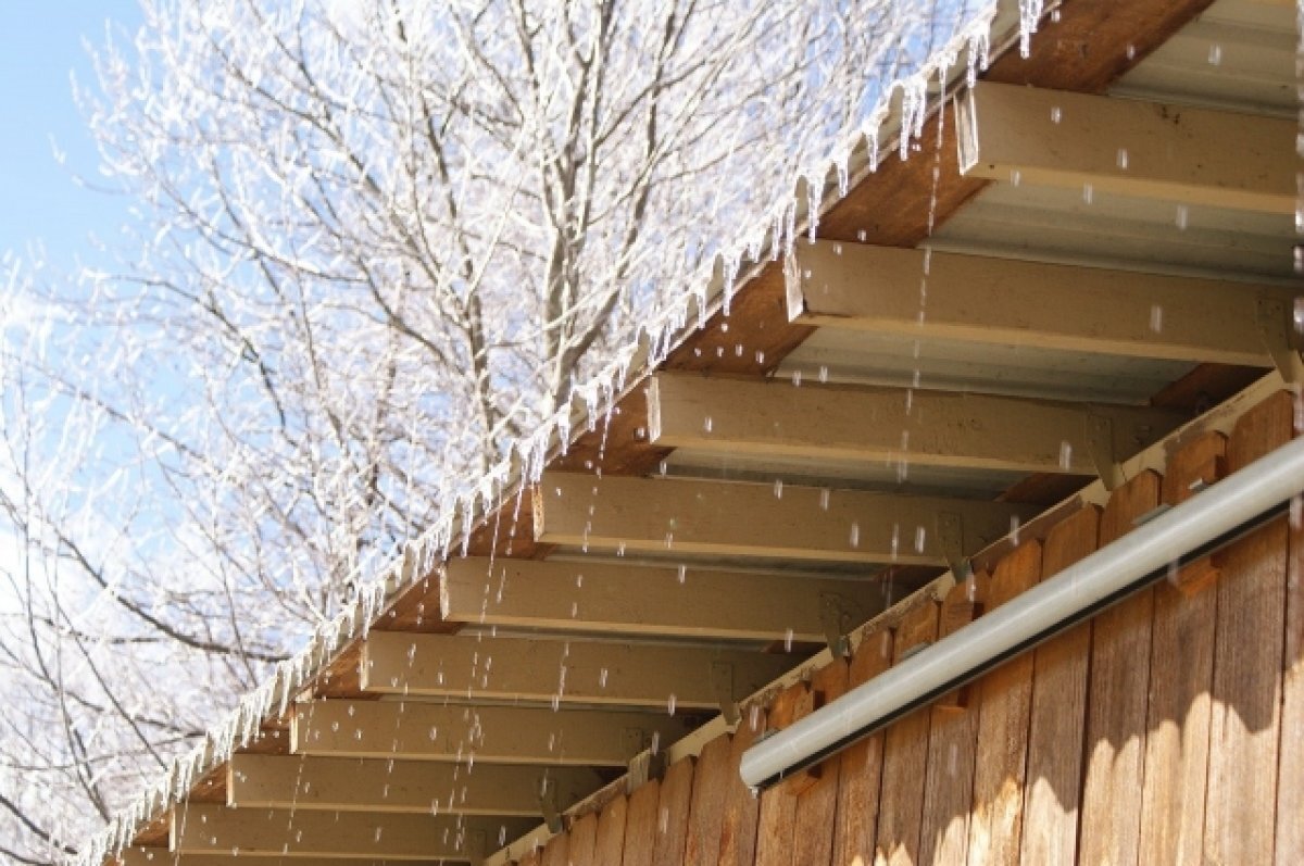    Синоптики прогнозируют слабый ветер и тёплую дневную температуру.