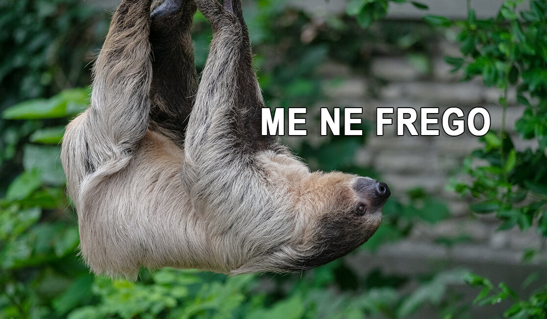 Изображение от wirestock на Freepik