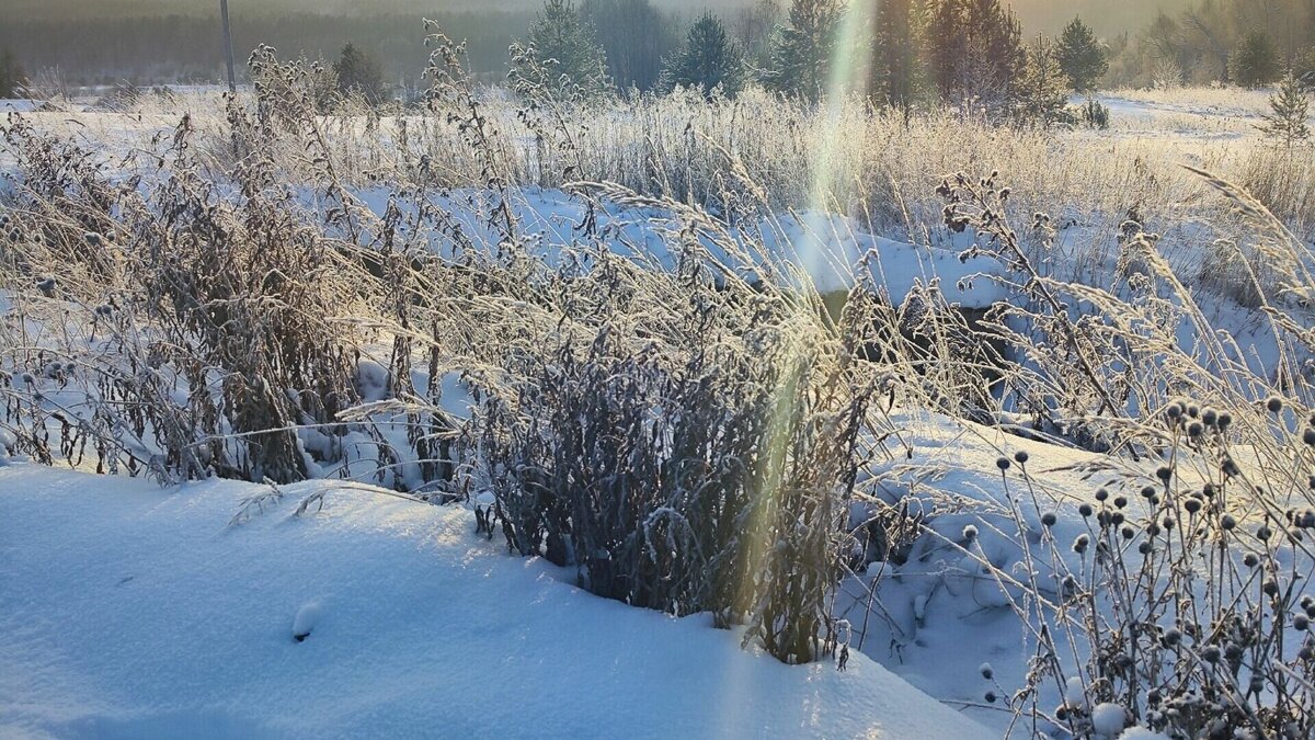 Потепление в нижегородской