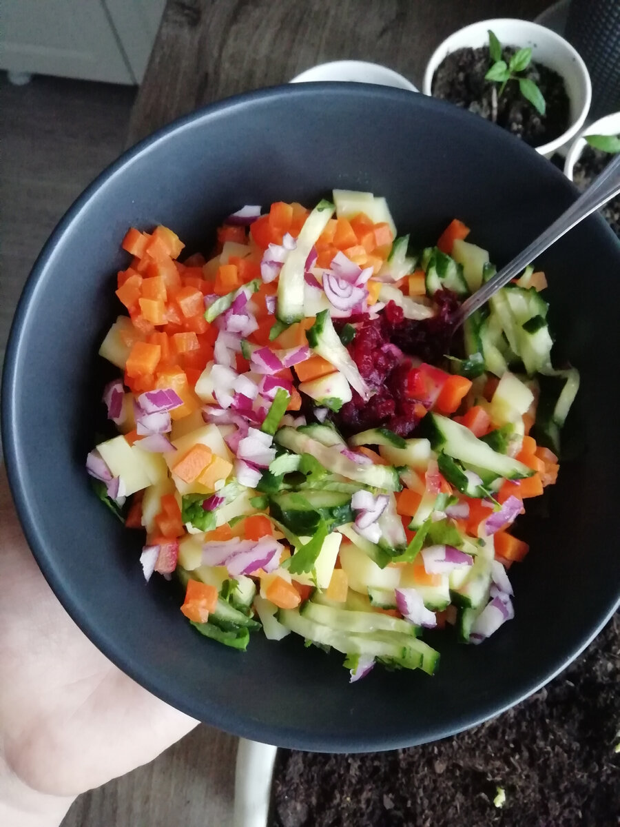 Всего 200 г: вареный картофель, морковь, отварная свекла, свежий огурец, красный лук, кинза, ложка яблочного уксуса, капля горчицы