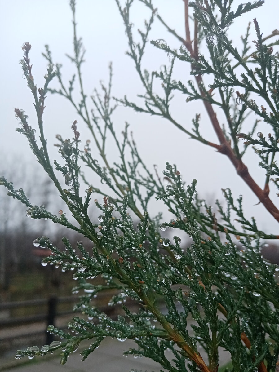Нужно замечать прекрасное во всем! 
