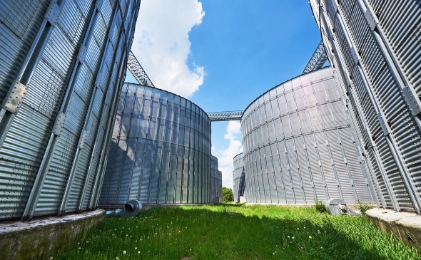 Фото: freepik.com 