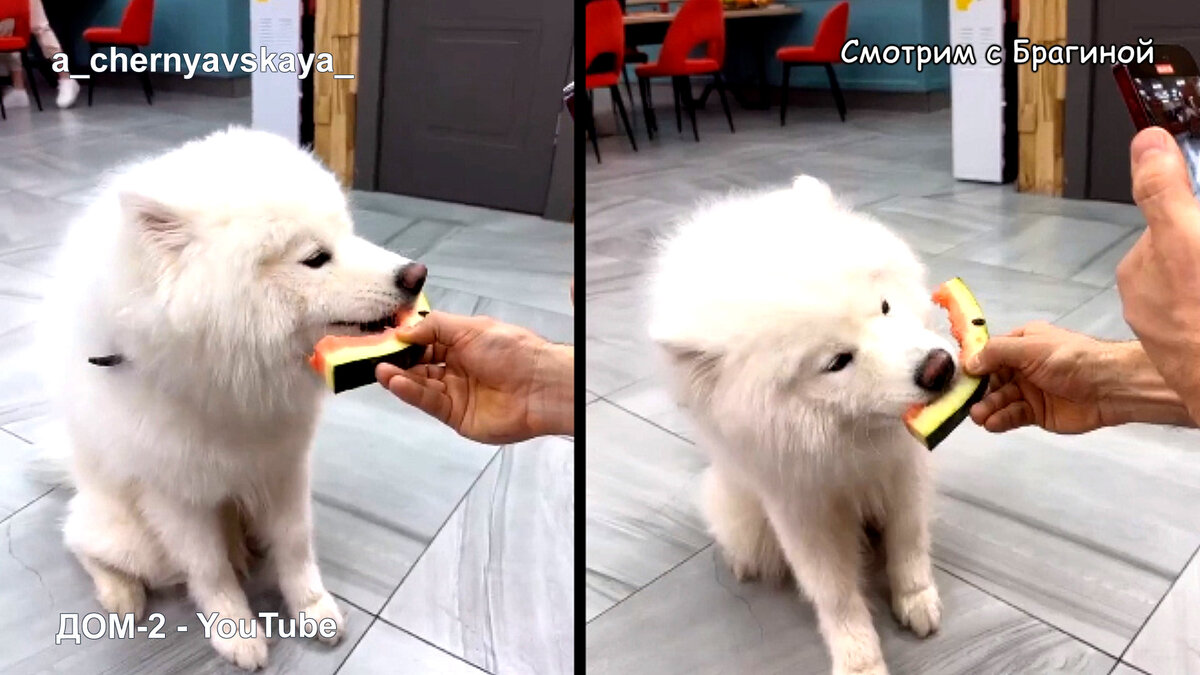 Ребята кормят Лёню арбузом, инстаграм