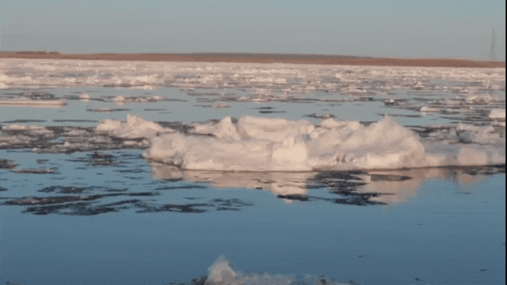 Фото: Яндекс картинки 