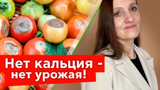 Как добавить кальций в почву? Самые эффективные и доступные средства!