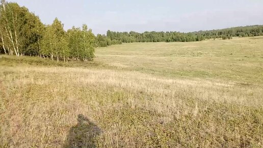 Хочу показать красивое место в нашей природе