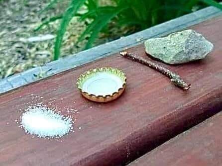 Фото из интернета.