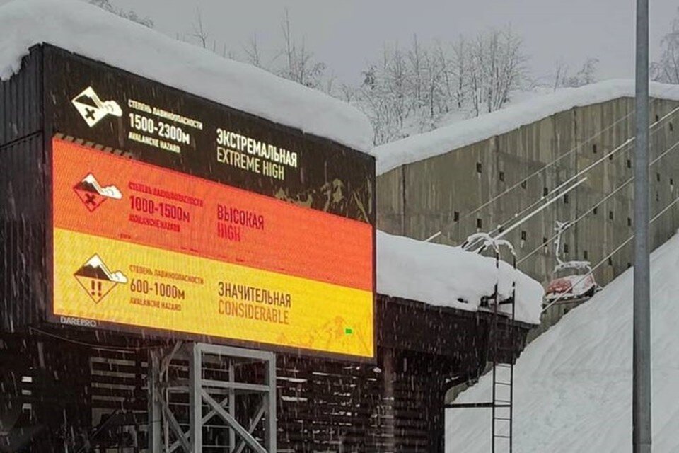     Фото: Леонид Дементьев