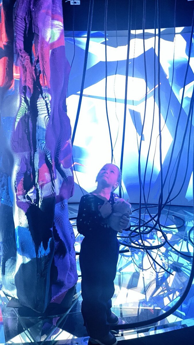 Выставка «Синтез». Финалисты Анастасии Конюховой, воссозданный лес Полины Лимье, завораживающий взгляд на мир Артема Мороза, движение света Виктора Полякова, дополненная реальность Кирилла Рейва и светоцветовые пейзажи Василиссы Саврасовой. . 