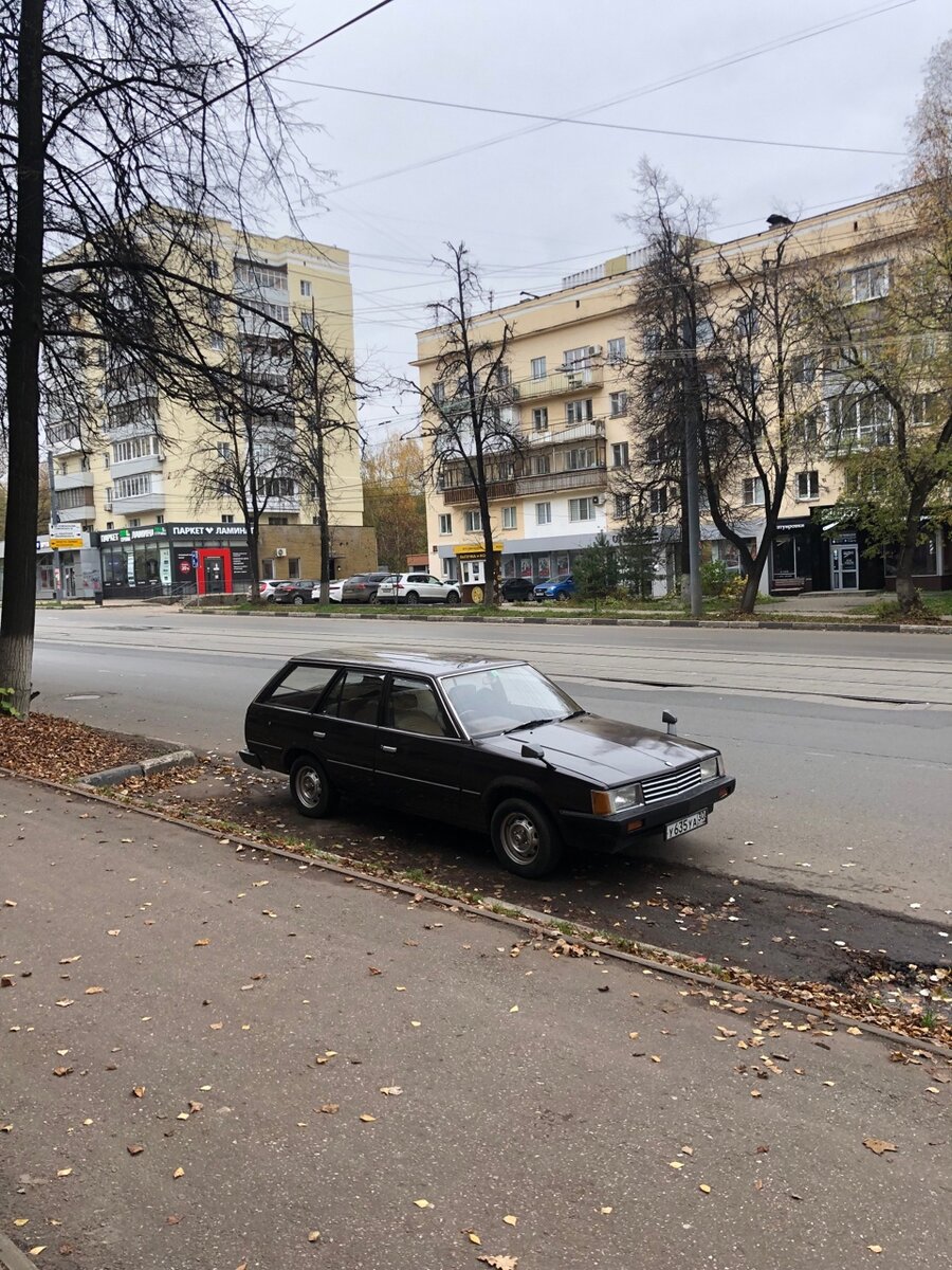 Не смогла пройти мимо такого красавца. 