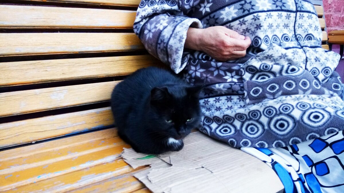     В Нижегородской области случилась история с пикантным мошенничеством: молодой человек познакомился в больнице с пенсионеркой, и та предложила ему сделать ей куннилингус за 200 млн рублей. Мужчина согласился, сообщает Telegram-канал «Нижний Новгород. Без цензуры».