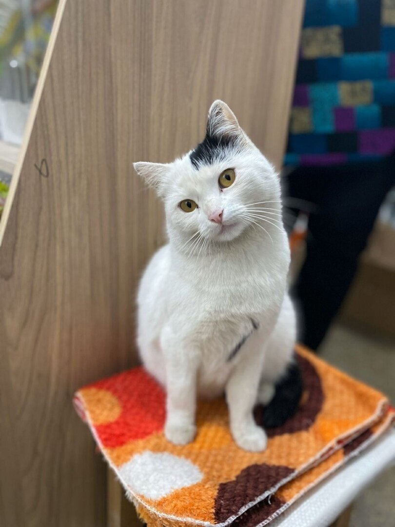 �����, ����� ����� ����� ������! 