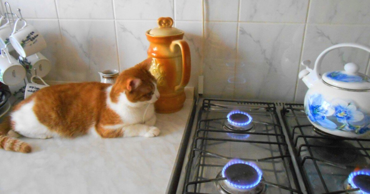 Оплата за обслуживание газовых плит и колонок | Ваш семейный юрист | Дзен