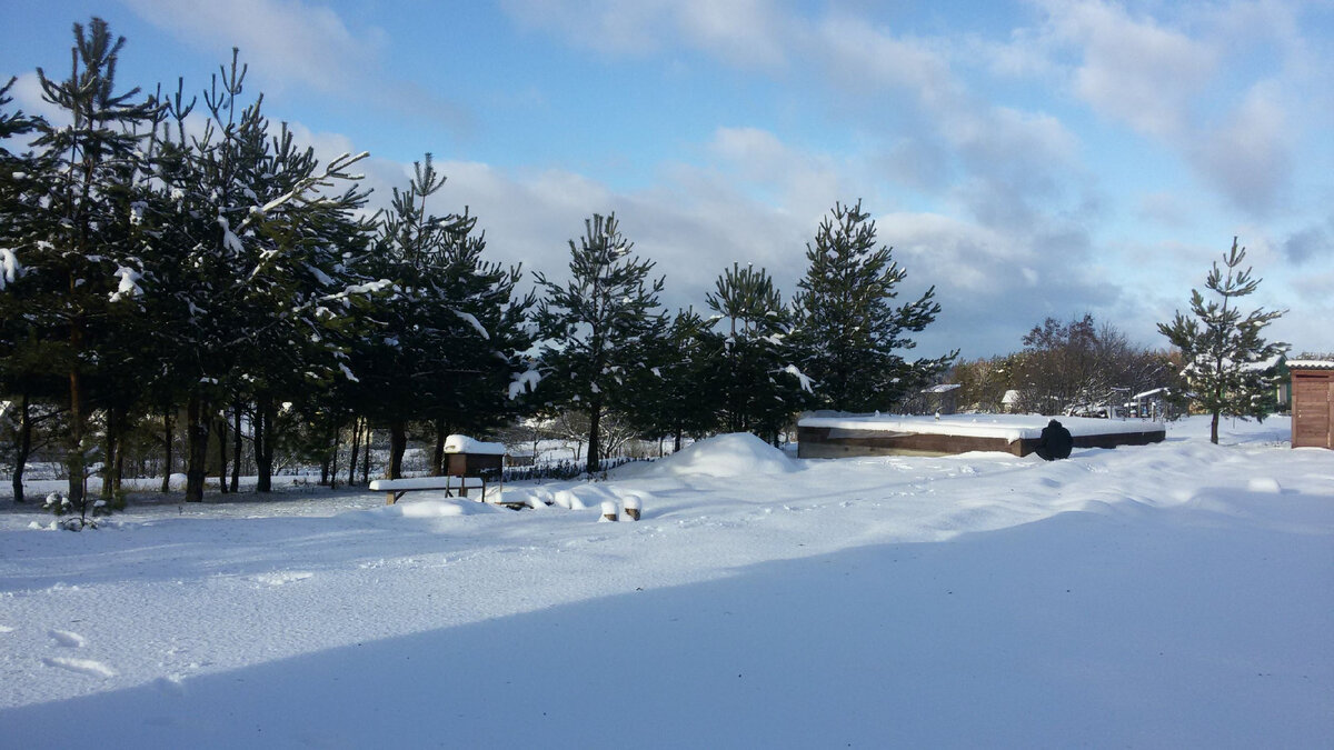 Личное фото автора.