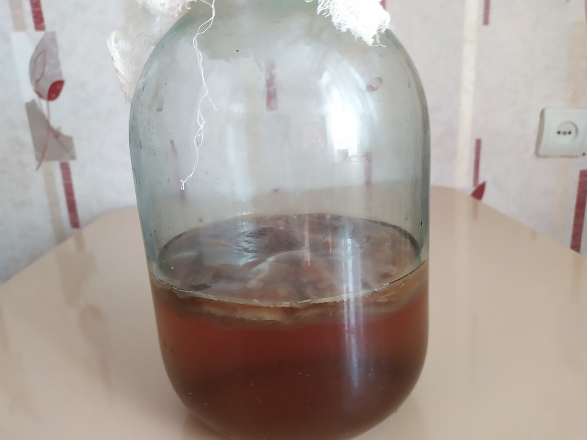 Не спрашивайте, почему гриб такой тёмный, - я для него обычно готовлю раствор на чёрном чае. Отсюда и "загар".