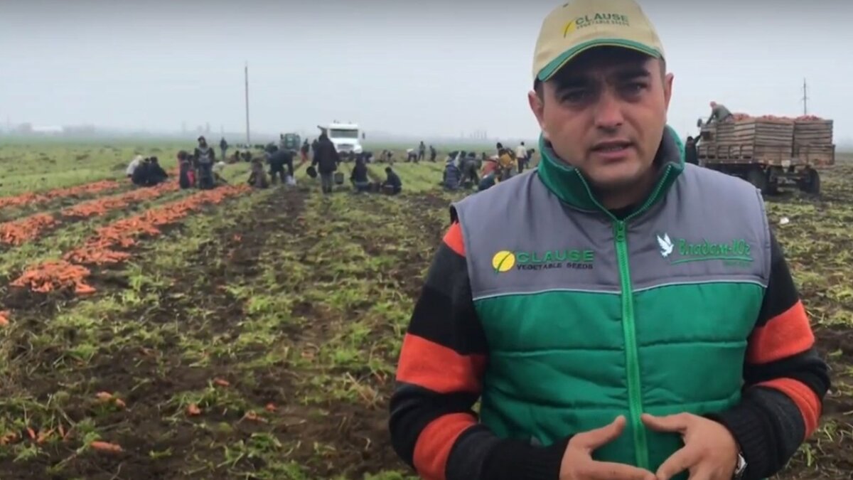 Аграрии готовы выращивать необходимое количество овощей, только нужно решить проблему их хранения.