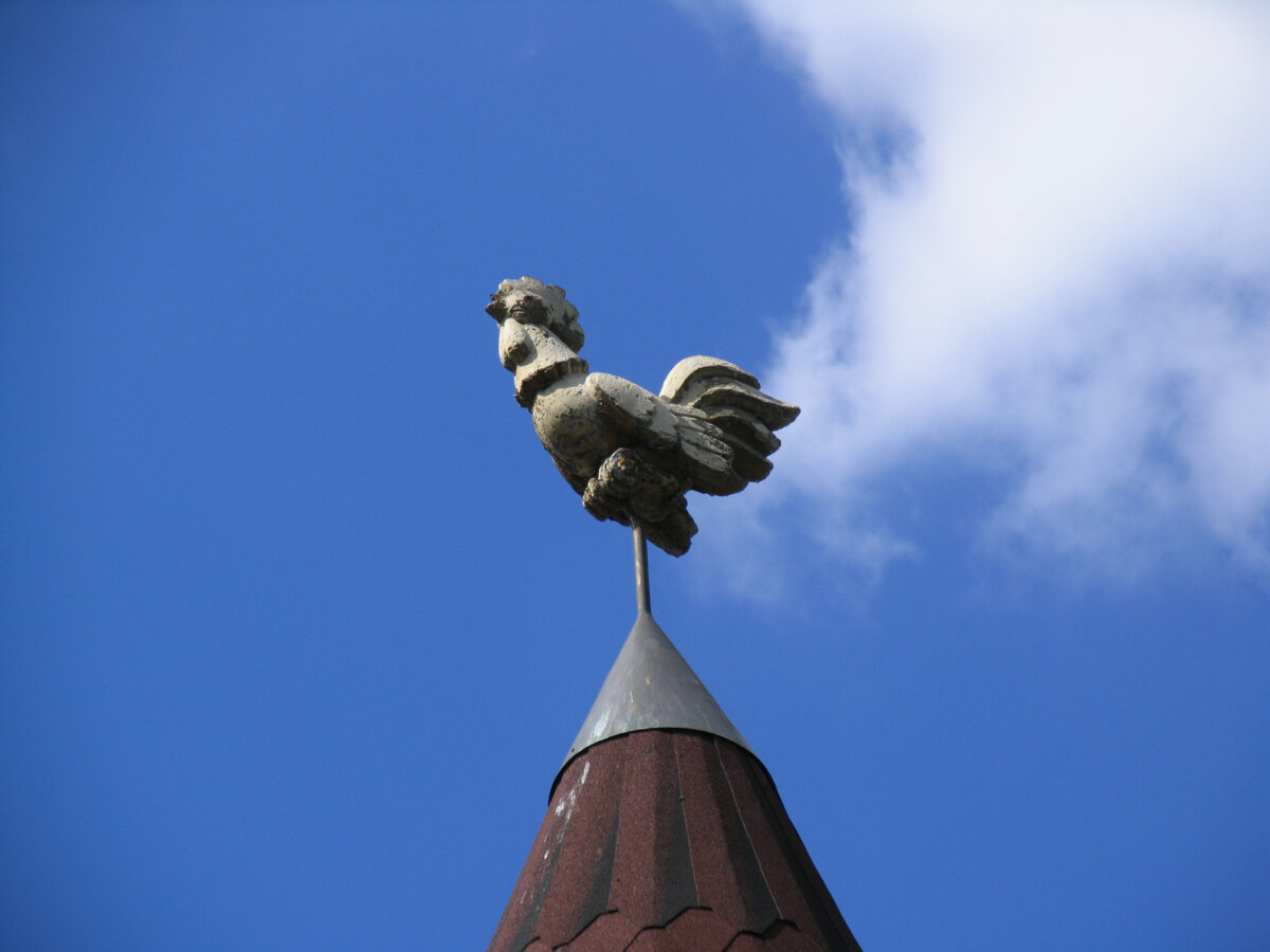 Canon PowerShot Pro1. 200mm, F3,5, 1/1600 сек., ISO80. Экспокоррекция -0,7.