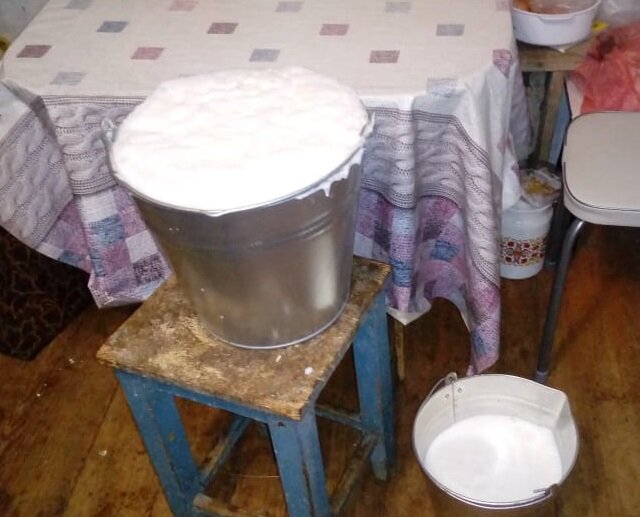 Ведро молока! И ещё мааленькое ведёрко...
