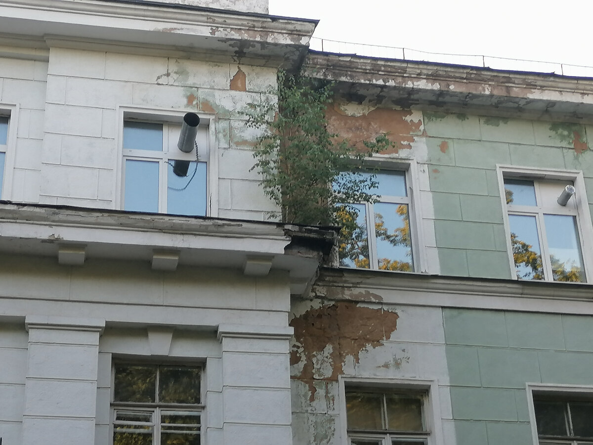 Как же им с нами не повезло(0