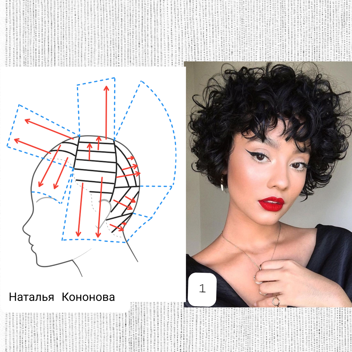 Схема автора. Модель стрижки из интернета.
